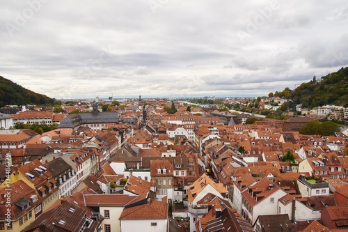 Fernblick über die Dächer von Heidelberg 