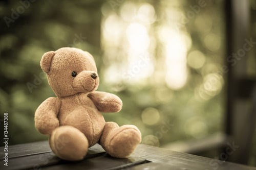 bear doll on the table in the nature with dramatic tone