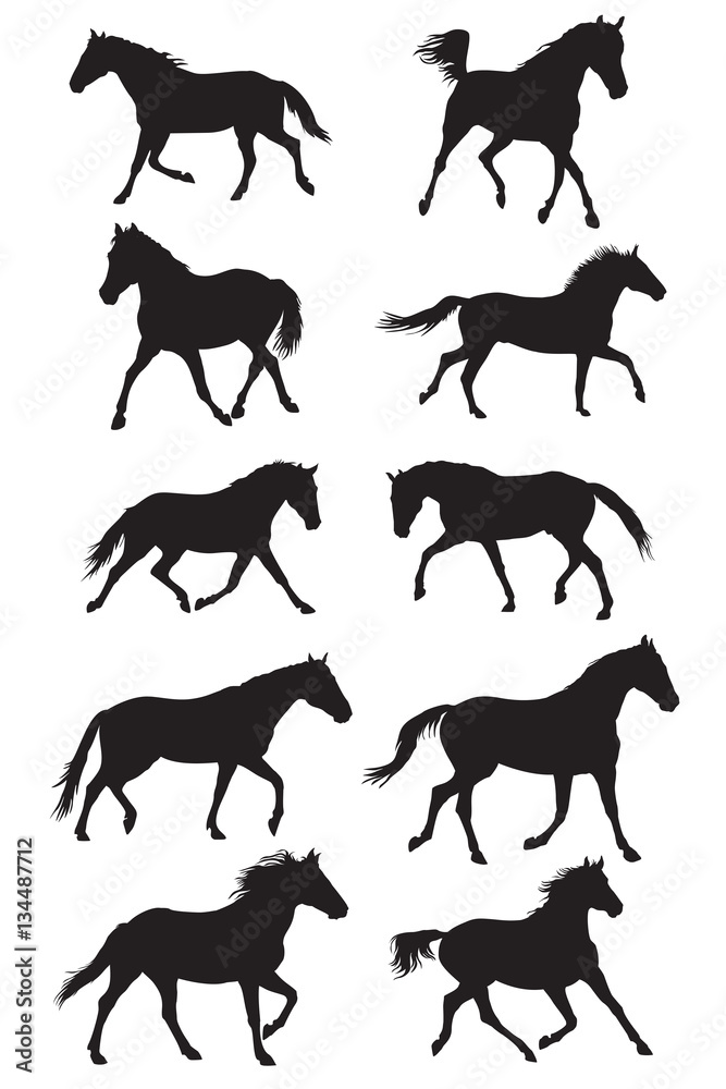 Set of vector black trotting horses silouettes