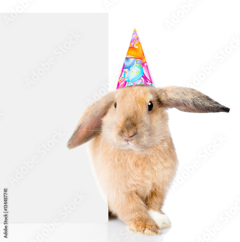 Rabbit in birthday hat peeks out from behind a blank banner. isolated on white 