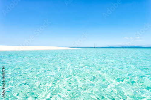 Michaelmas Cay off Cairns on the Great Barrier Reef