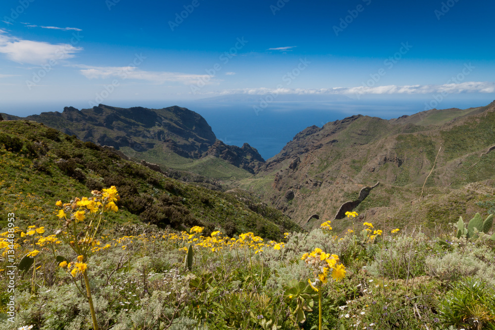 Punta de Teno, Tenerife, Canary, Espana
