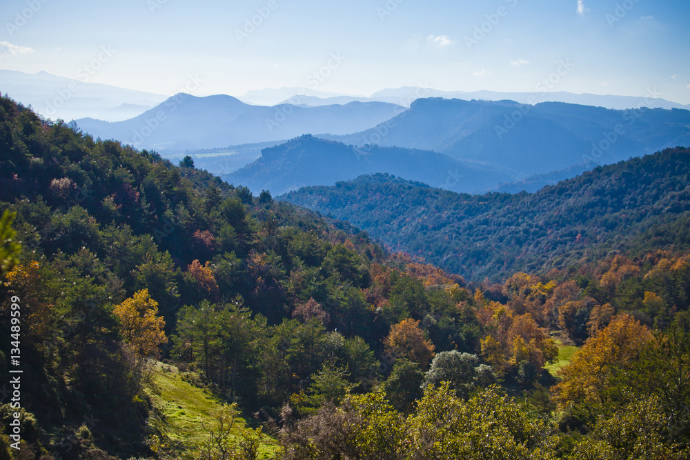 Mountains and autumn forest with oaks and pines between Osona an llucanes.