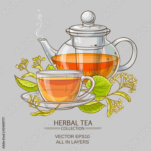 linden tea vector illustration