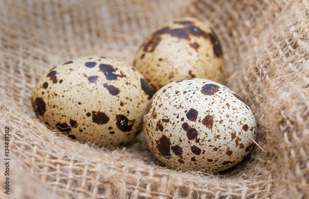 Obraz premium Set of three raw quail eggs with spotted surface on a sackcloth.