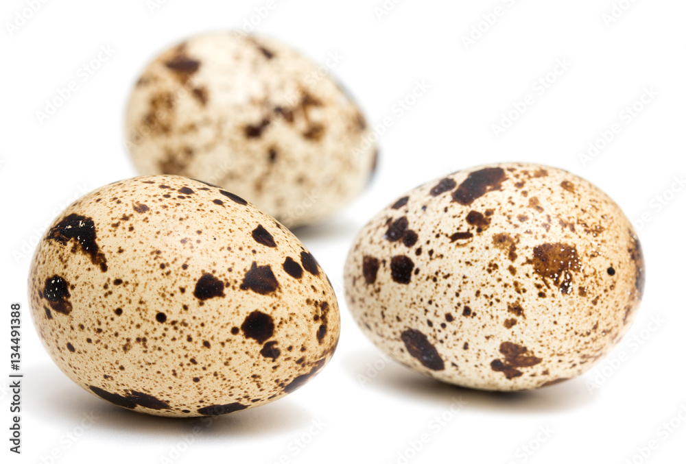 Raw quail eggs with spotted surface isolated on a white backgrou Raw quail eggs with spotted surface isolated on a white backgrou