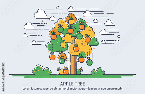 Apple tree. Season collecting apples. Thin lines vector illustration.