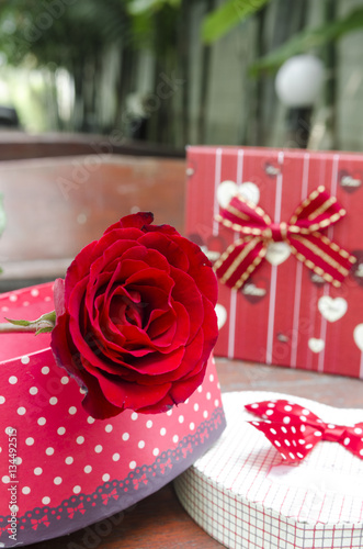 red rose flower with gift box for Valentine's Day