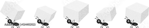 Ants carrying sugar cubes
