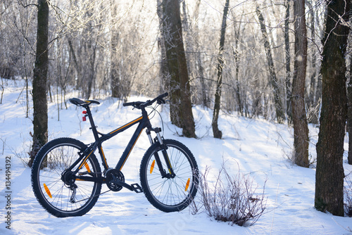 Mountain Bike on the Snowy Trail in the Beautiful Winter Forest Lit by Sun