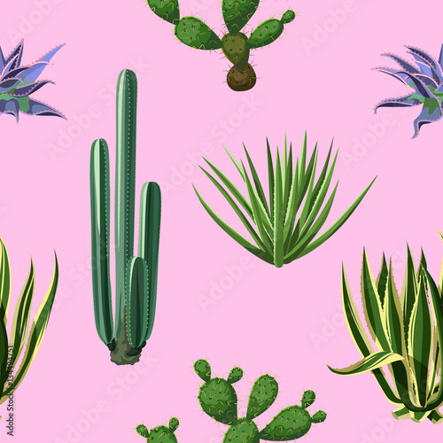 Seamless pattern with cactuses and succulents set. Plants of desert