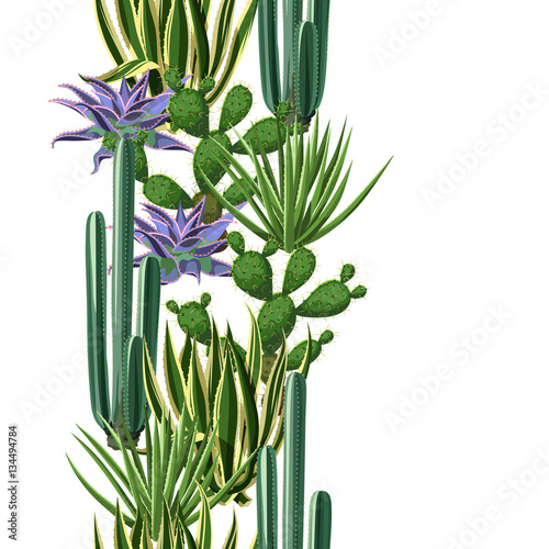 Seamless border with cactuses and succulents set. Plants of desert