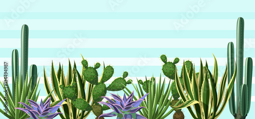 Background with cactuses and succulents set. Plants of desert