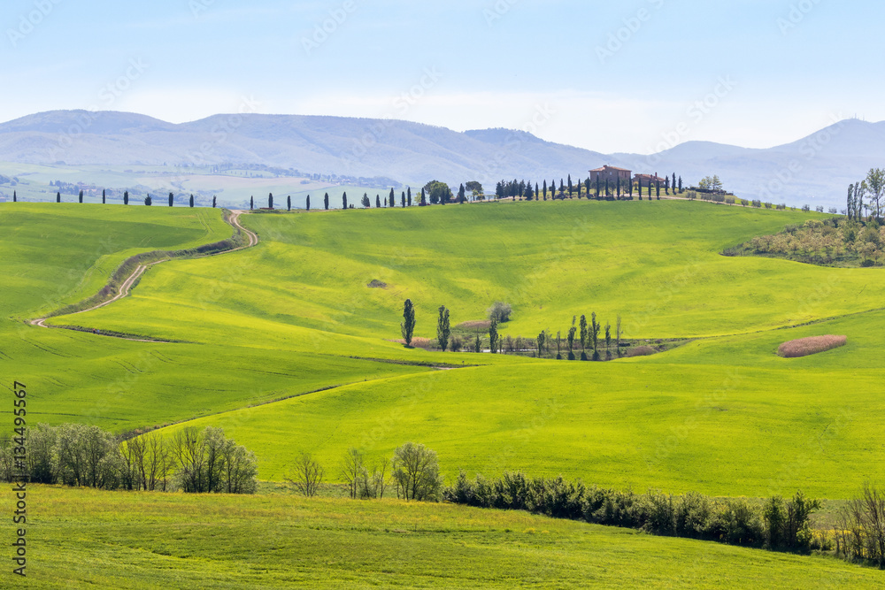 Green fields in a Tuscan rural landscape