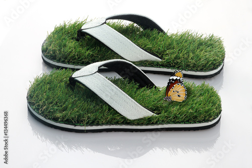 Slipper with Green Grass and butterfly on White Background