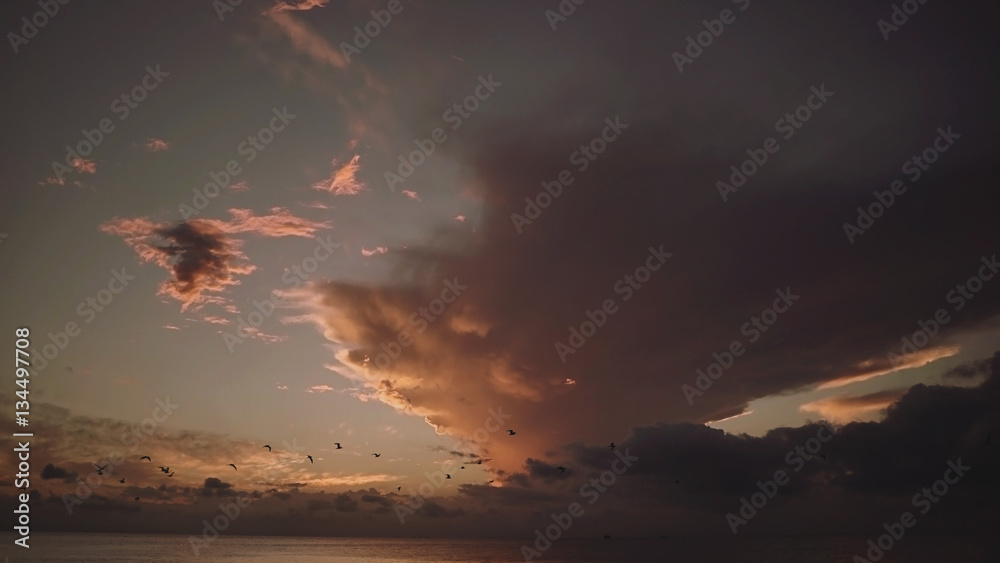 Obraz premium Stradbroke Sunset