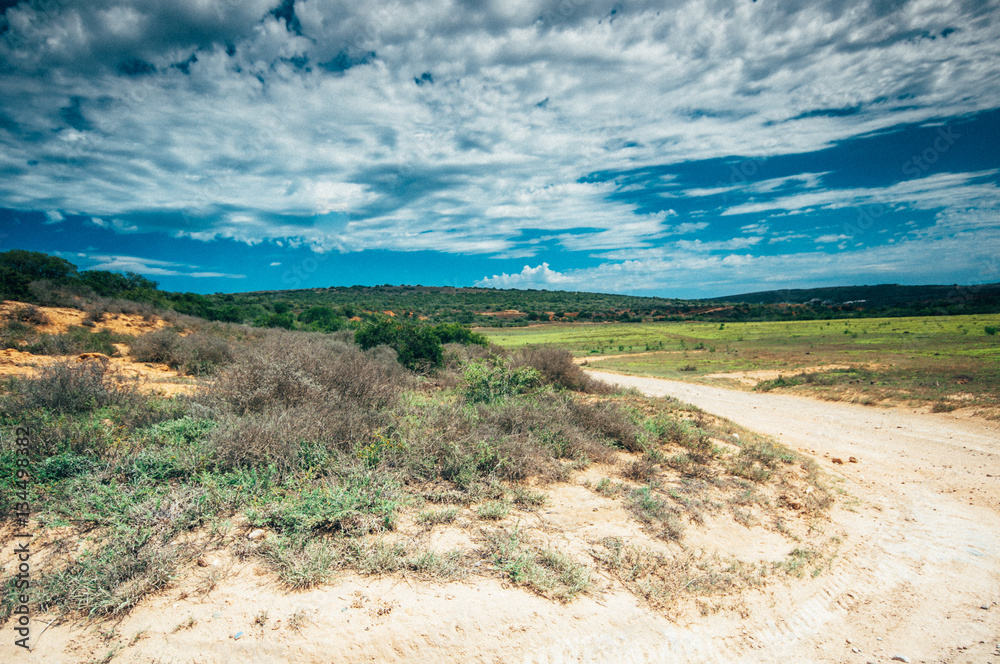Typical landscpae of Transkei region in Eastern CApe, South Africa