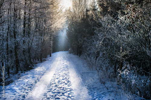 Verschneiter Waldweg und Sonnenstrahlen © Martin