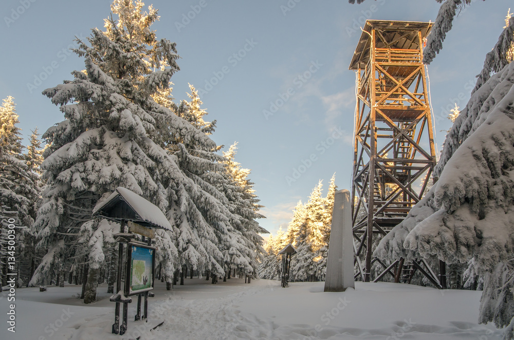 Wieża obserwacyjna na Radziejowej, Beskid Sądecki, małopolska