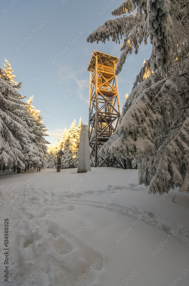 Wieża obserwacyjna na Radziejowej, Beskid Sądecki, małopolska