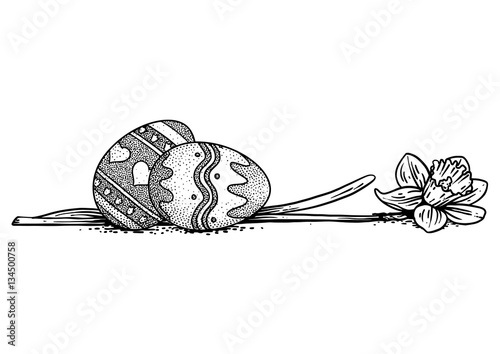 Easter eggs illustration with daffodil