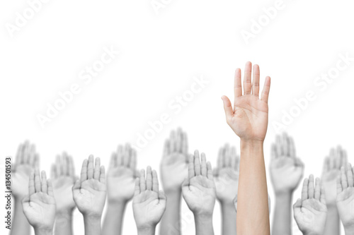 Business crowd raising hands high up on white background. Concept Business / Question / Ask. 