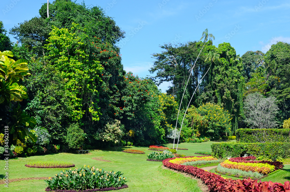 Obraz premium magnificent tropical park with flower beds, lawns and trees