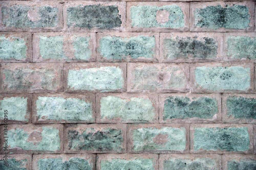 Obraz premium Brick background