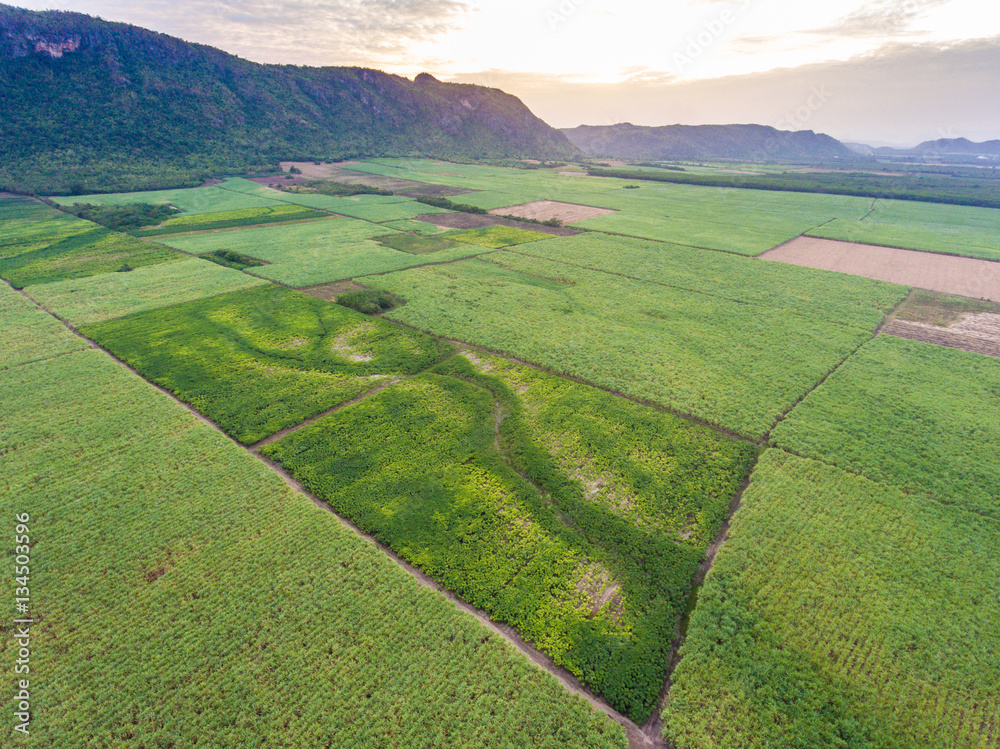 Aerial View of Sugar Cane Farming in Front of Beautiful Mountain
