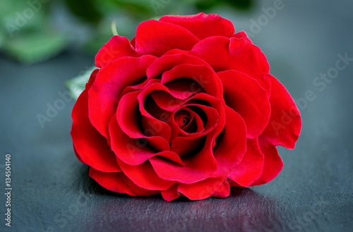 Nahaufnahme einer roten Rose auf schwarzem Schieferstein
