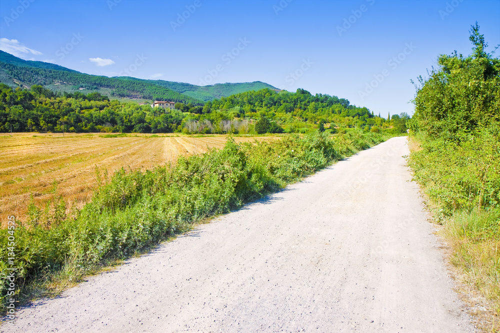 Fototapeta premium Tipical Tuscany country road called 