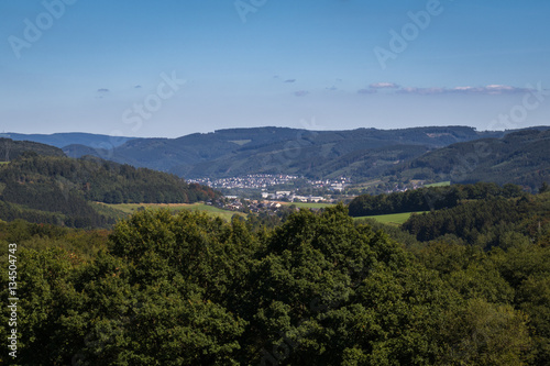 Fototapeta Naklejka Na Ścianę i Meble -  Sommer im Sauerland