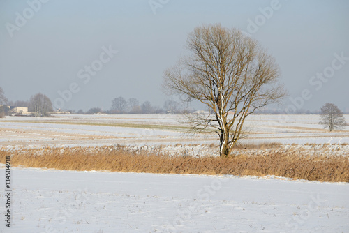 Wallpaper Mural Zima. Torontodigital.ca