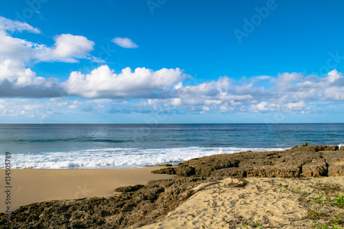 Tropical Beach Sightseeing