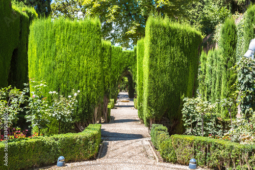 Gardens in Alhambra palace in Granada