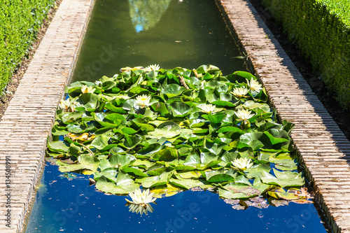 Gardens and fountains in Alhambra palace