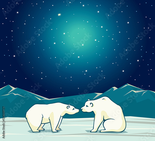 Two polar bear and night starry sky.