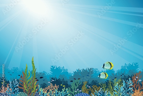Fototapeta Naklejka Na Ścianę i Meble -  Coral reef with fish. Underwater sea.