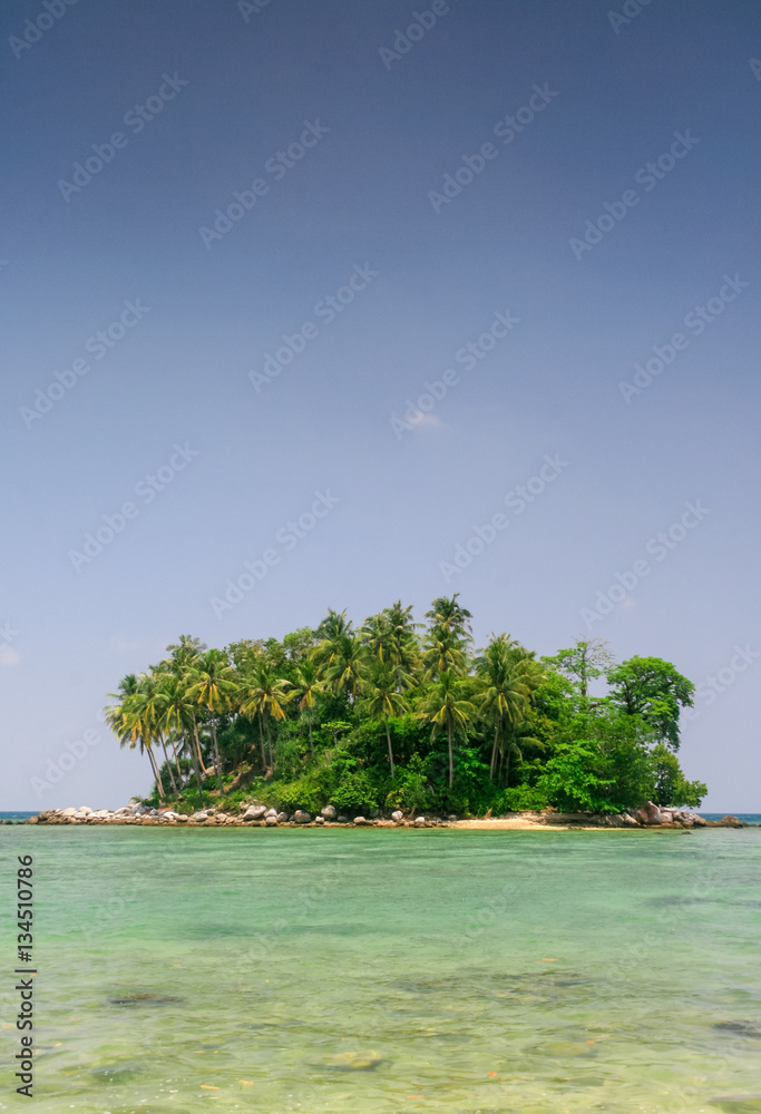 Einzelne Insel Südsee mit Palmen