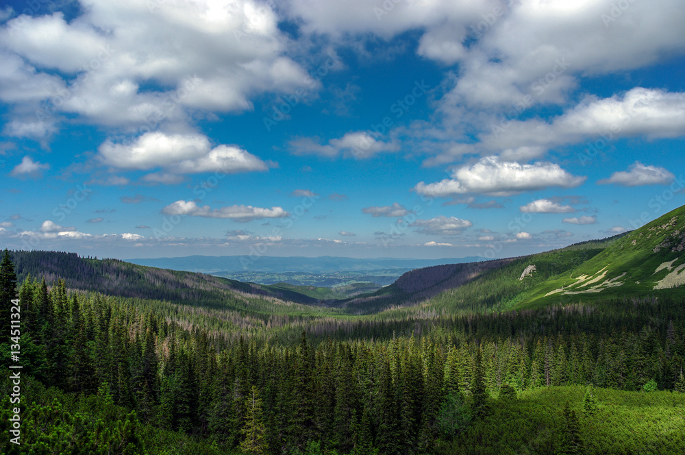 Panorama of summer mountains under the clouds