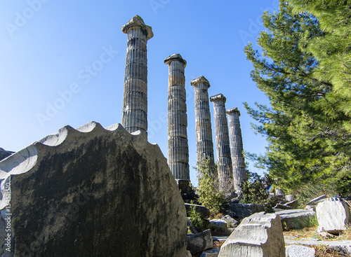 Priene ancient city column photo