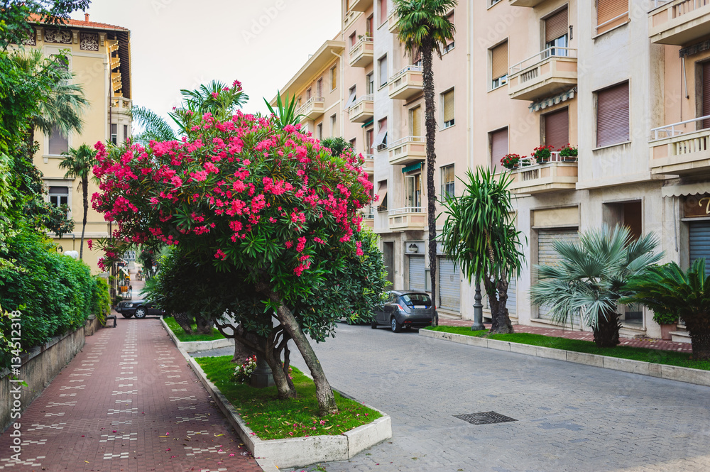 Naklejka premium beautiful blooming street italy