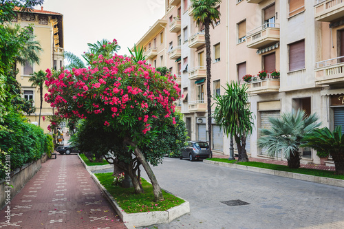 Fototapeta Naklejka Na Ścianę i Meble -  beautiful blooming street italy