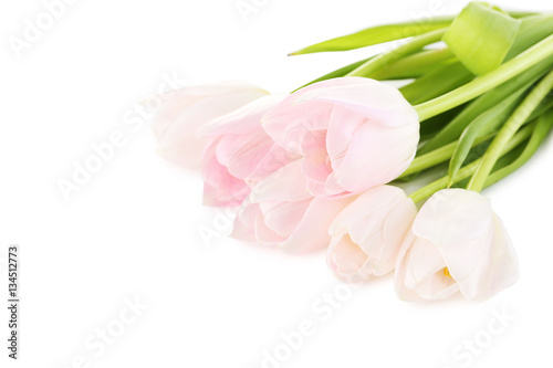 Fototapeta Naklejka Na Ścianę i Meble -  Bouquet of tulips isolated on a white