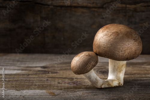 Two brown mushrooms over wooden background with copy space