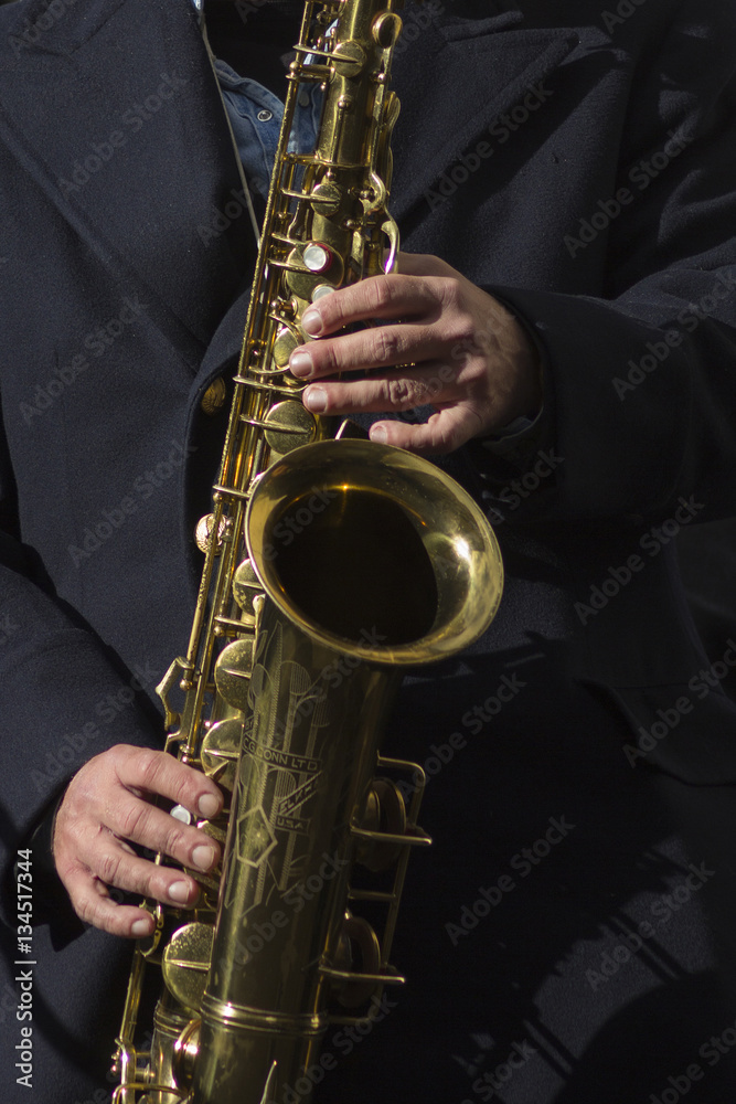Obraz premium Saxo