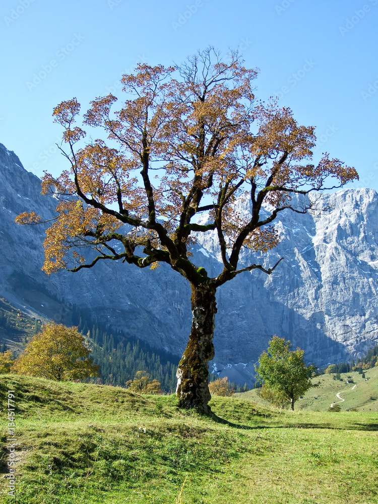 Österreich - Tirol - Herbst im großen Ahornboden Österreich - Tirol - Herbst im großen Ahornboden
