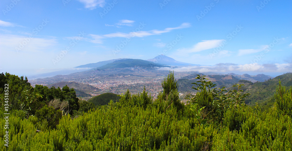 Isla de Tenerife desde el Parque Rural de Anaga Isla de Tenerife desde el Parque Rural de Anaga