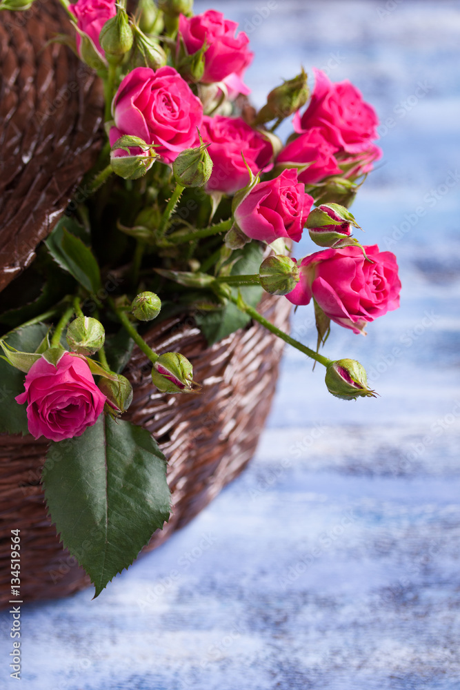 Pink roses in brown basket on blue wooden background.