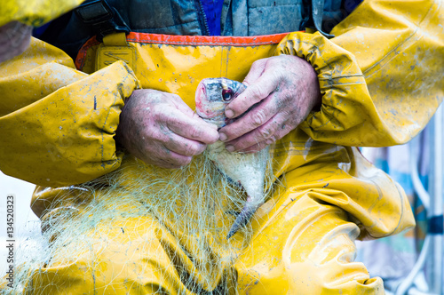 Fisherman is removing a fish from the fishing net.